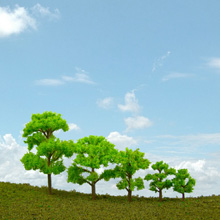 model trees
